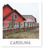 Umělý kámen Carolina
